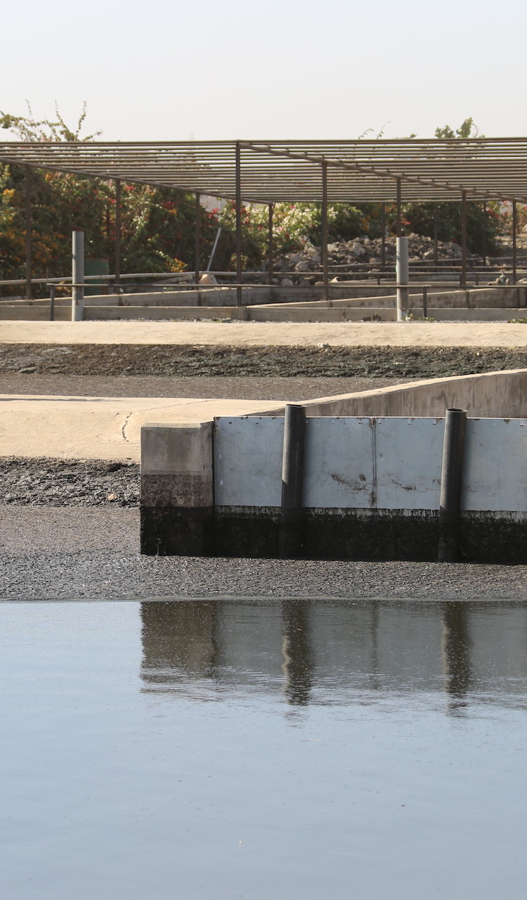 Eau Assainissement