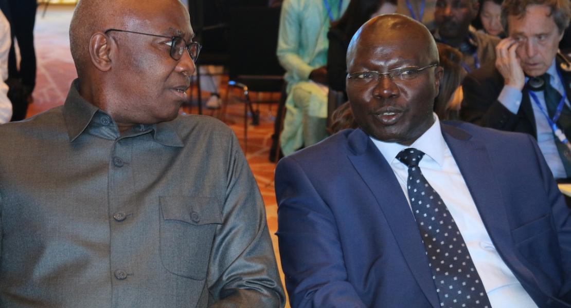 "Road to Dakar"  : mobilization of East African countries for the 9th World Water Forum