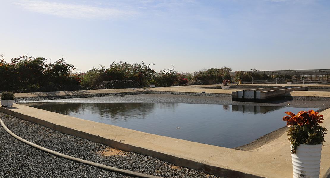 Stratégies de réutilisation des sous-produits du traitement des eaux usées et des eaux pluviales dans l’agriculture urbaine