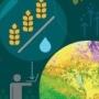 WaPOR (Water Productivity through Open access of Remotely sensed derived data)