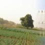  C5 APPUI A LA GESTION DES RESSOURCES EN EAU ET DU NEXUS EAU-ENERGIE-AGRICULTURE DANS LE BASSIN DU FLEUVE SENEGAL