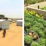 Assainissement durable et réutilisation des eaux usées pour la création d’espaces verts dans les camps de réfugiés de la Région Afrique de l'Ouest et du Centre