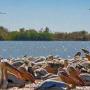 Bassin du fleuve Sénégal OPTIMISER LES USAGES DE L’EAU DANS LE CONTEXTE DES CHANGEMENTS 
