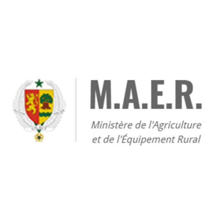 MAER